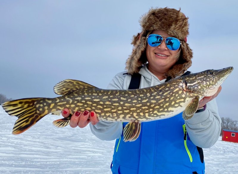 Discover ice fishing game online